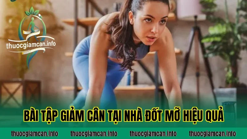 Bài Tập Giảm Cân Tại Nhà Đốt Mỡ Hiệu Quả