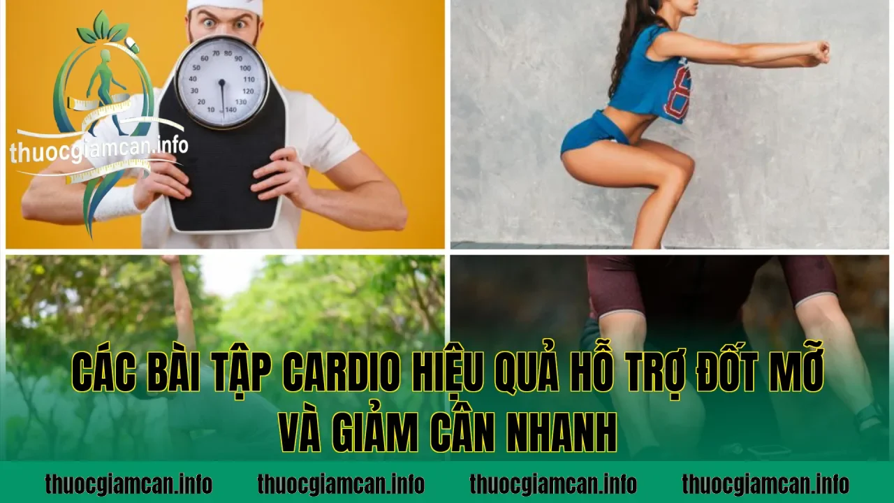 Các bài tập cardio hiệu quả hỗ trợ đốt mỡ và giảm cân nhanh