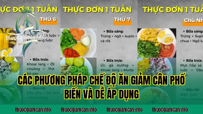 Các phương pháp chế độ ăn giảm cân phổ biến và dễ áp dụng