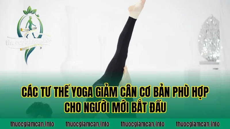 Các tư thế yoga giảm cân cơ bản phù hợp cho người mới bắt đầu