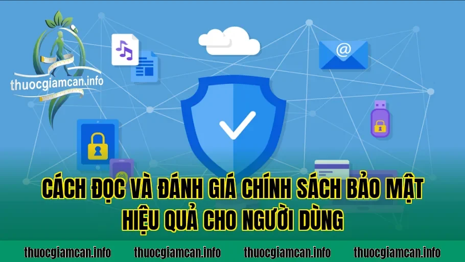 Cách đọc và đánh giá chính sách bảo mật hiệu quả cho người dùng