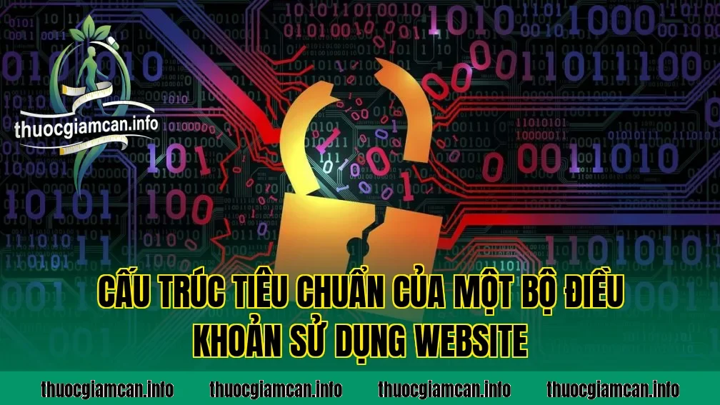 Cấu trúc tiêu chuẩn của một bộ điều khoản sử dụng website