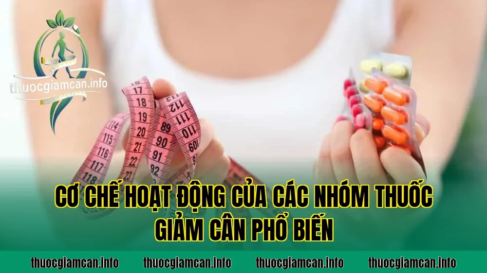 Cơ chế hoạt động của các nhóm thuốc giảm cân phổ biến