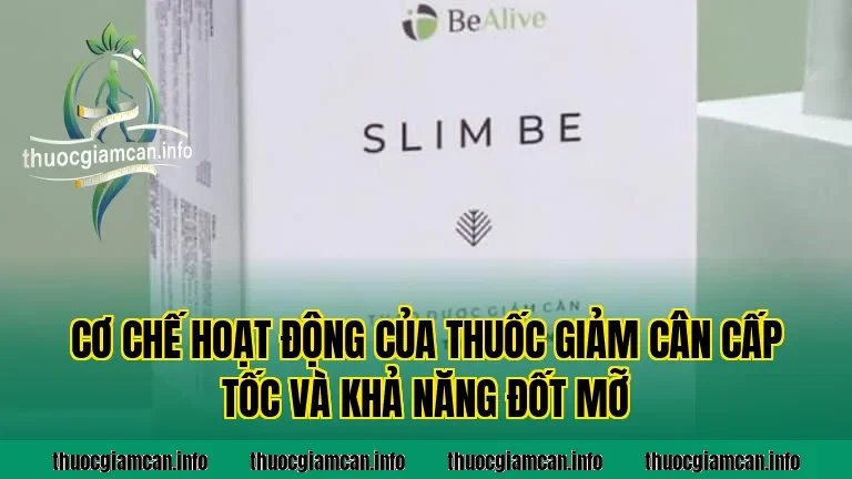 Cơ chế hoạt động của thuốc giảm cân cấp tốc và khả năng đốt mỡ