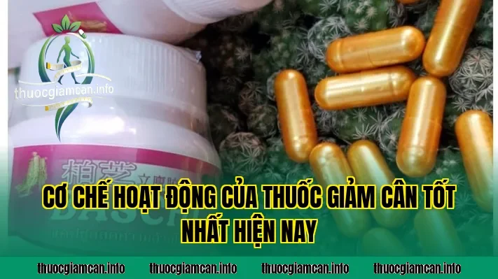 Cơ chế hoạt động của thuốc giảm cân tốt nhất hiện nay