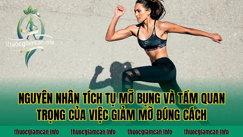 Nguyên nhân tích tụ mỡ bụng và tầm quan trọng của việc giảm mỡ đúng cách