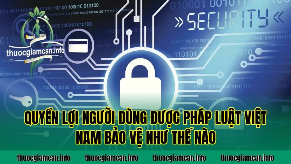 Quyền lợi người dùng được pháp luật Việt Nam bảo vệ như thế nào