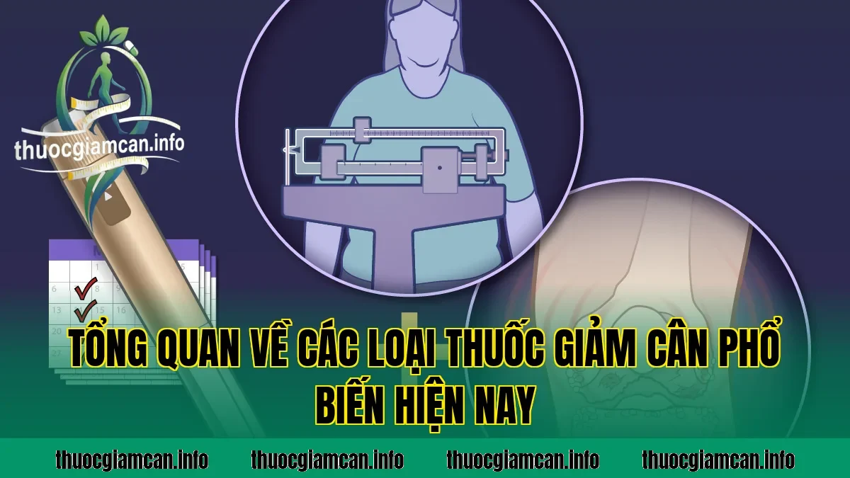 Tổng quan về các loại thuốc giảm cân phổ biến hiện nay
